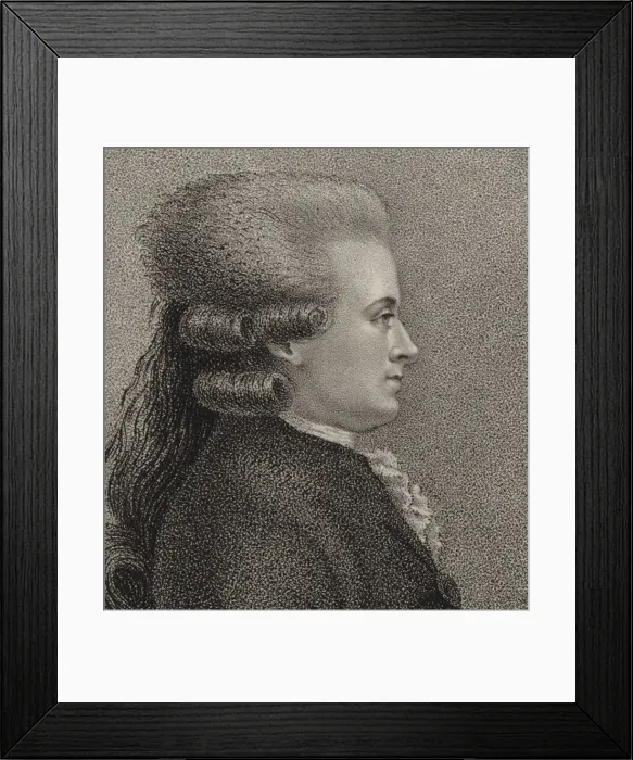 Framed Print : Jean-Jacques Duval d Epremesnil (1745-1794), 1788 Framed Print : Jean-Jacques Duval d Epremesnil (1745-1794), 1788