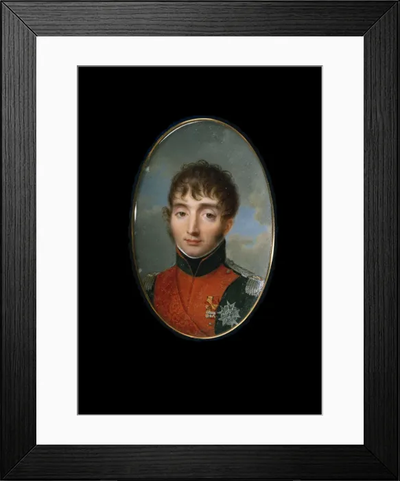 Framed Print : Louis Napoleon Bonaparte (1778-1846), King of Holland, 1806-1808 Framed Print : Louis Napoleon Bonaparte (1778-1846), King of Holland, 1806-1808