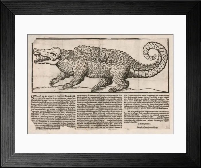 Framed Print : Popular print with representation of a Crocodile, 1563 Framed Print : Popular print with representation of a Crocodile, 1563