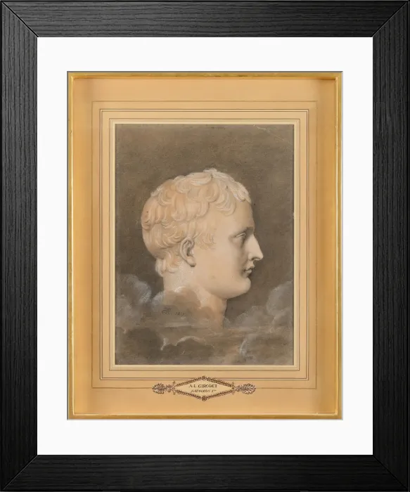 Framed Print : Profile of Napoleon I Bonaparte (1769-1821), 1812 Framed Print : Profile of Napoleon I Bonaparte (1769-1821), 1812