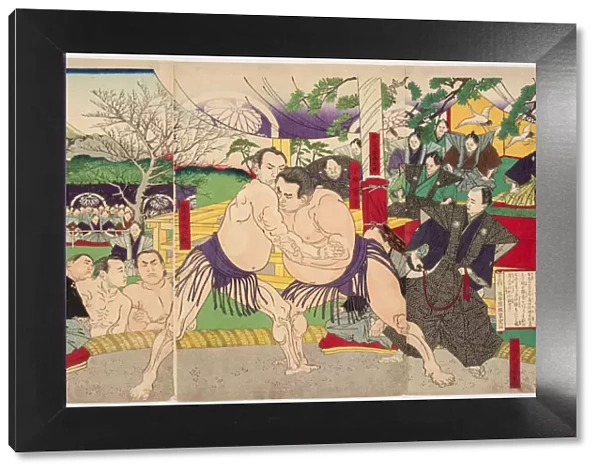 Wrestling match Koyonagi Tsunekichi vs Arauma Daigoro, 1885