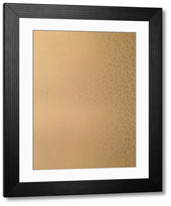 Framed Print : Endsheets, 1920s-1930s Framed Print : Endsheets, 1920s-1930s