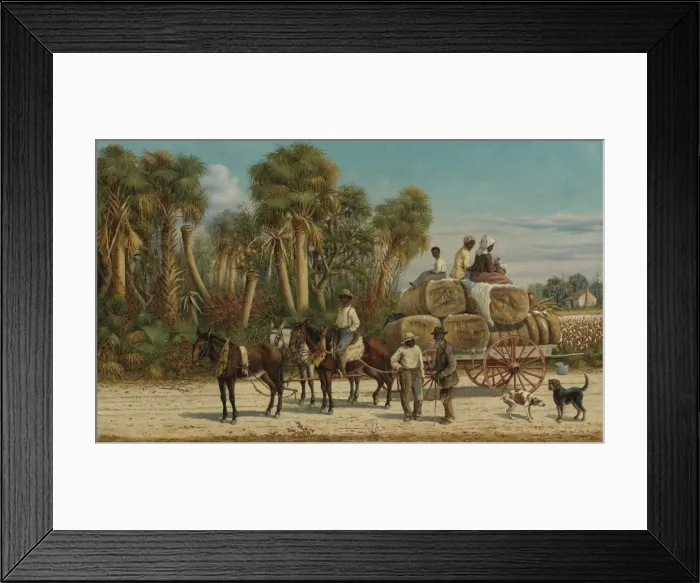 Framed Print : The Cotton Wagon, 1880s Framed Print : The Cotton Wagon, 1880s