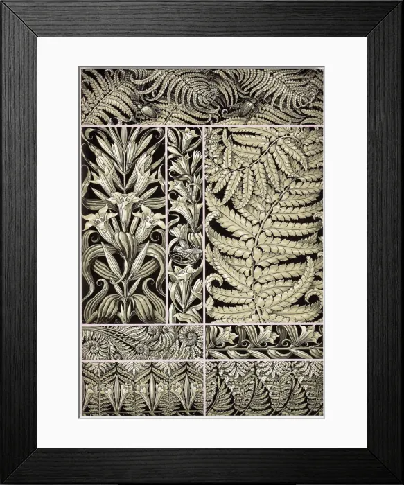 Framed Print : The plant ornaments, c. 1890 Framed Print : The plant ornaments, c. 1890