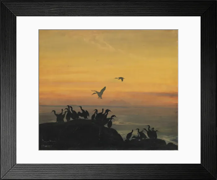 Framed Print : Cormorants by sunset Framed Print : Cormorants by sunset