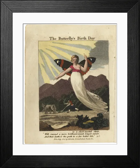 Framed Print : Title page from The Butterflys Birthday, St. Valentines Day, and Madam Whales Ball, 1808 Framed Print : Title page from The Butterflys Birthday, St. Valentines Day, and Madam Whales Ball, 1808