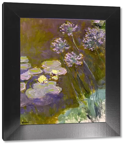 Water Lilies and Agapanthus, 1914-1917