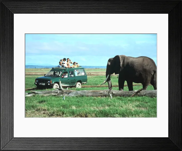 Framed Print : Elephant and safari van, Kenya Framed Print : Elephant and safari van, Kenya