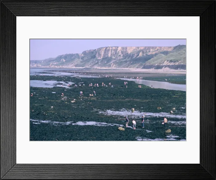 Framed Print : Beachcombers at Port-en-Bessin, Normandy, France Framed Print : Beachcombers at Port-en-Bessin, Normandy, France