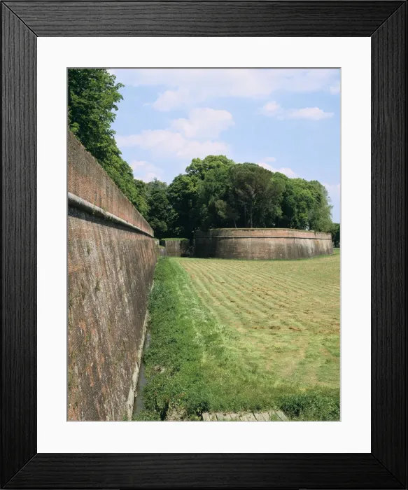 Framed Print : Town walls, Lucca, Tuscany, Italy Framed Print : Town walls, Lucca, Tuscany, Italy
