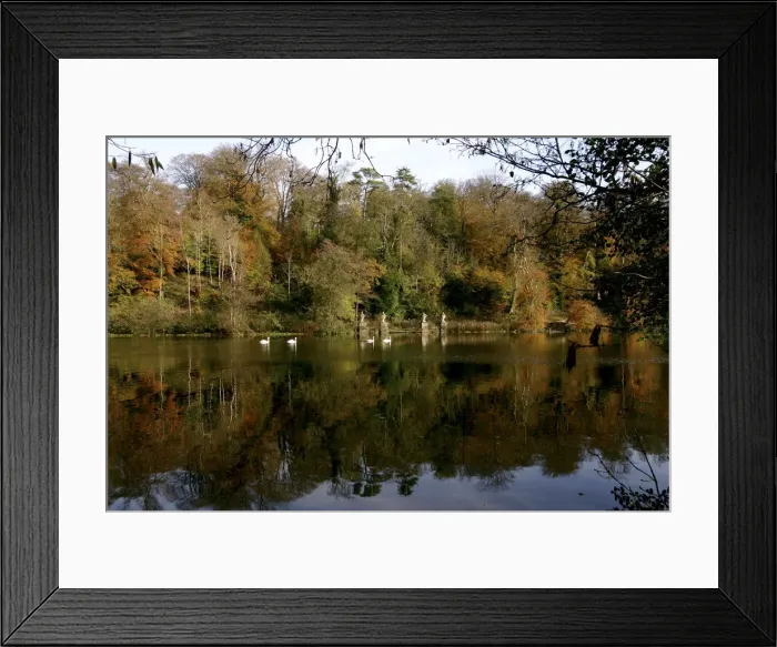 Framed Print : Fonthill Estate lake, Wiltshire, 2005 Framed Print : Fonthill Estate lake, Wiltshire, 2005