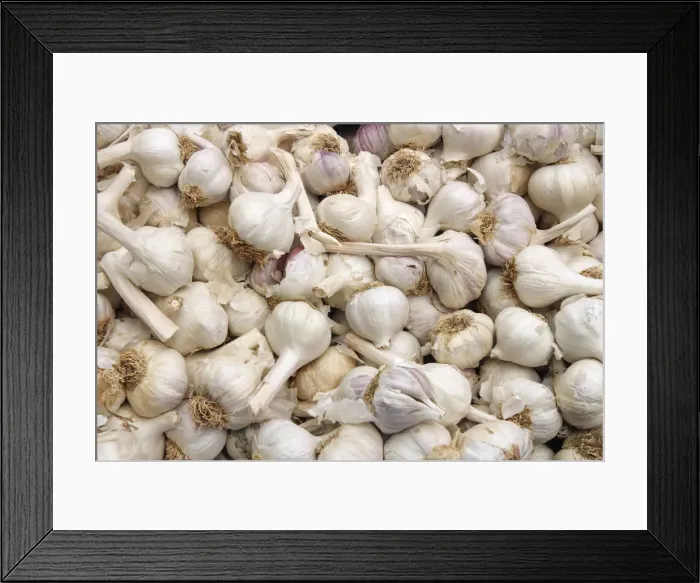 Framed Print : Garlic bulbs on a market stall, Mallorca, Spain Framed Print : Garlic bulbs on a market stall, Mallorca, Spain