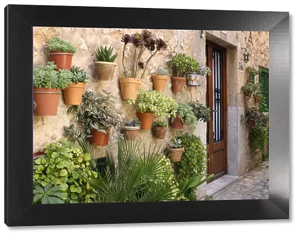 Potted plants on the wall of a house, Valldemossa, Mallorca, Spain