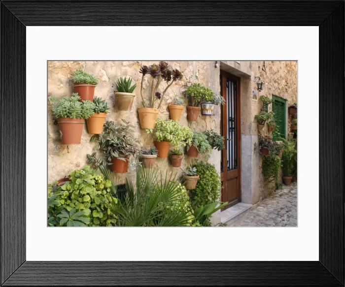 Framed Print : Potted plants on the wall of a house, Valldemossa, Mallorca, Spain Framed Print : Potted plants on the wall of a house, Valldemossa, Mallorca, Spain
