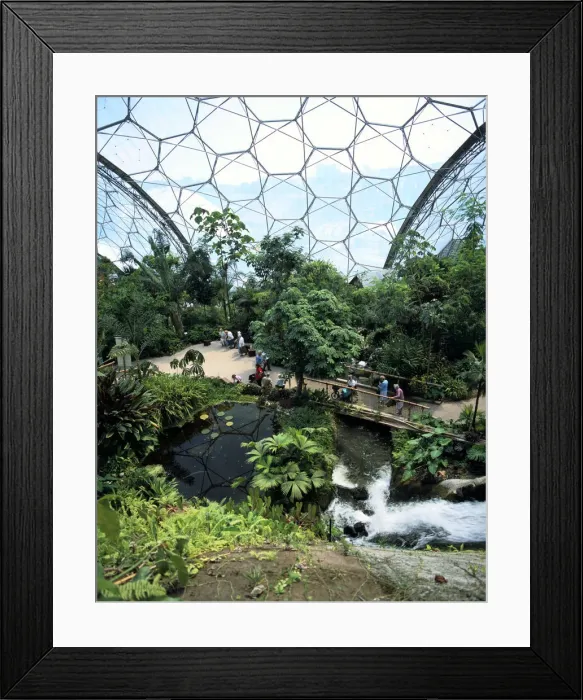 Framed Print : Inside the Humid Tropics Biome, Eden Project, Cornwall Framed Print : Inside the Humid Tropics Biome, Eden Project, Cornwall