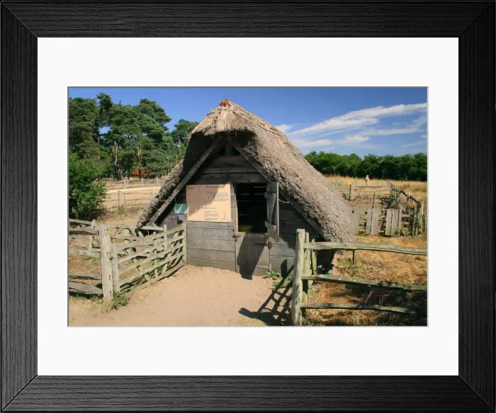 Framed Print : West Stow Country Park and Anglo-Saxon Village, Bury St Edmunds, Suffolk Framed Print : West Stow Country Park and Anglo-Saxon Village, Bury St Edmunds, Suffolk