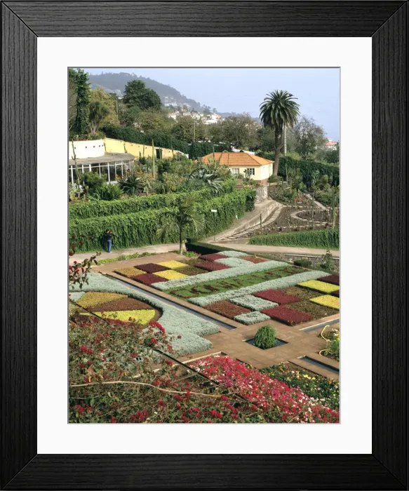 Framed Print : Botanical gardens, Funchal, Madeira, Portugal Framed Print : Botanical gardens, Funchal, Madeira, Portugal