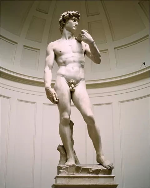 Statue of David, Accademia Gallery, Florence, Italy