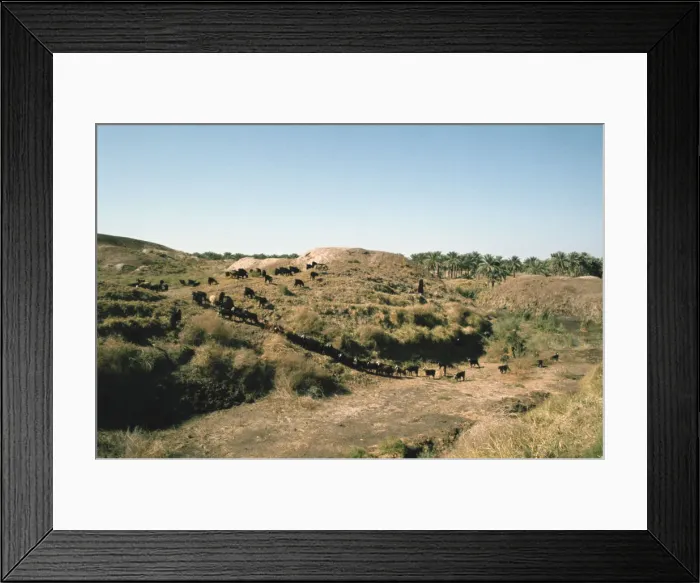 Framed Print : Tower of Babel, Babylon, Iraq, 1977 Framed Print : Tower of Babel, Babylon, Iraq, 1977