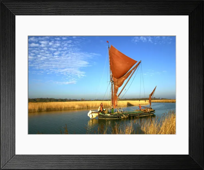Framed Print : Thames sailing barge, Snape, Suffolk Framed Print : Thames sailing barge, Snape, Suffolk