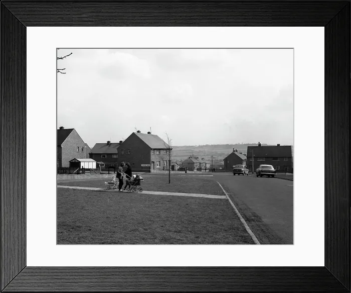 Framed Print : Chestnut Grove, Conisborough, South Yorkshire, 1964. Artist: Michael Walters Framed Print : Chestnut Grove, Conisborough, South Yorkshire, 1964. Artist: Michael Walters