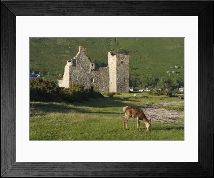 Framed Print : Lochranza Castle, Arran, North Ayrshire, Scotland Framed Print : Lochranza Castle, Arran, North Ayrshire, Scotland