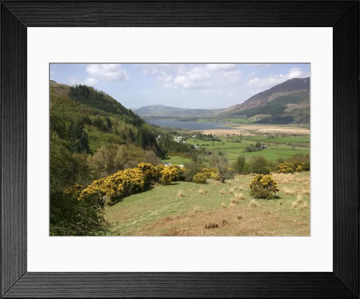 Framed Print : Bassenthwaite Lake from Whinlatter Pass, Lake District, Cumbria Framed Print : Bassenthwaite Lake from Whinlatter Pass, Lake District, Cumbria
