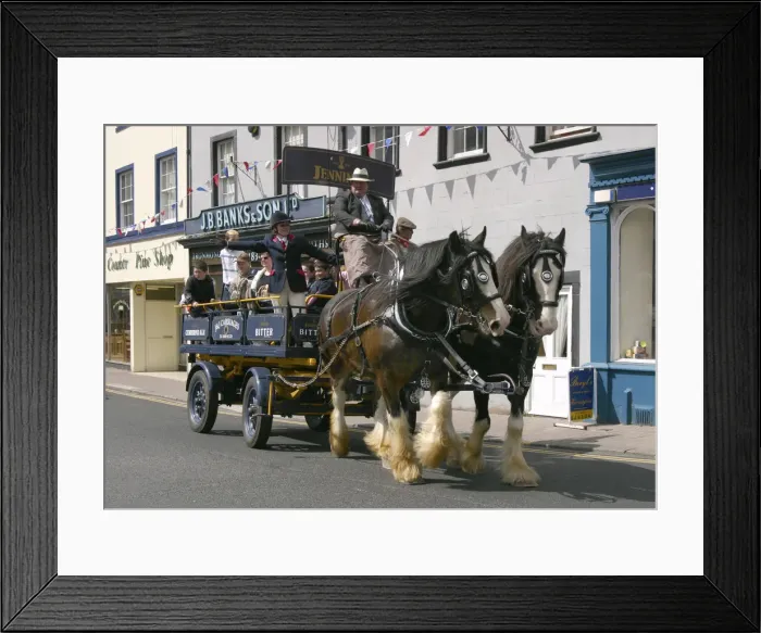 Framed Print : Jennings dray, Georgian festival, Cockermouth, Cumbria Framed Print : Jennings dray, Georgian festival, Cockermouth, Cumbria