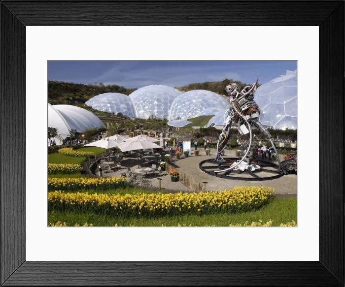 Framed Print : Eden Project, near St Austell, Cornwall Framed Print : Eden Project, near St Austell, Cornwall