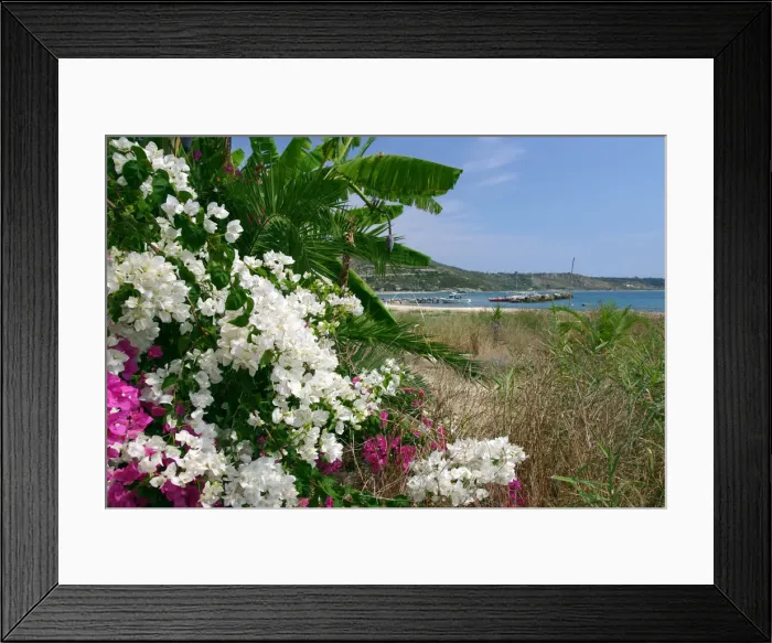 Framed Print : Flowering shrubs and palms, Katelios, Kefalonia, Greece Framed Print : Flowering shrubs and palms, Katelios, Kefalonia, Greece