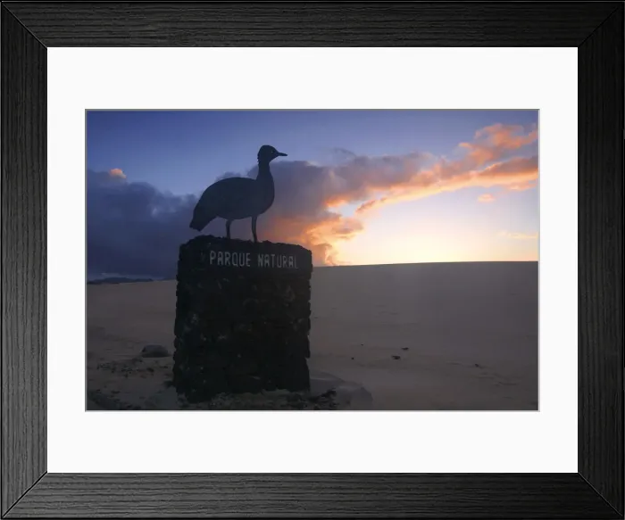 Framed Print : Dunes Natural Park, Fuerteventura, Canary Islands Framed Print : Dunes Natural Park, Fuerteventura, Canary Islands