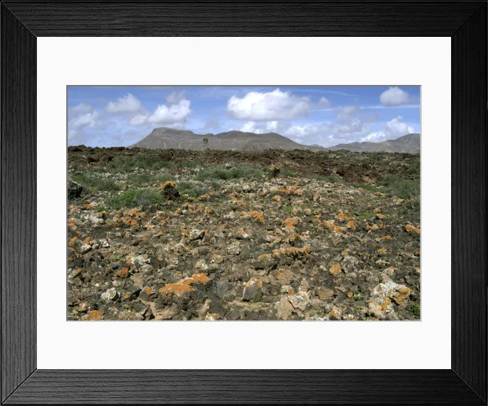 Framed Print : Volcanic landscape, Malpais Grande, Fuerteventura, Canary Islands Framed Print : Volcanic landscape, Malpais Grande, Fuerteventura, Canary Islands