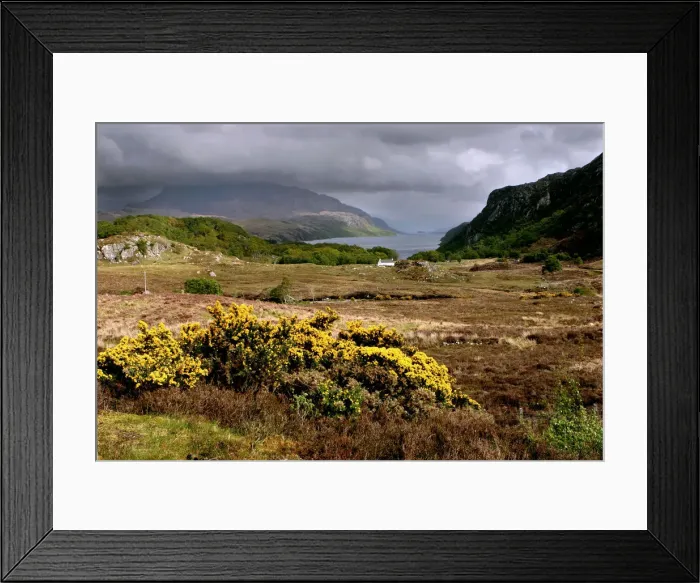 Framed Print : Loch Maree, Highland, Scotland Framed Print : Loch Maree, Highland, Scotland