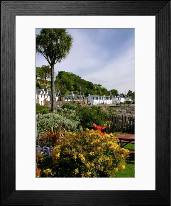 Framed Print : Plockton, Highland, Scotland Framed Print : Plockton, Highland, Scotland