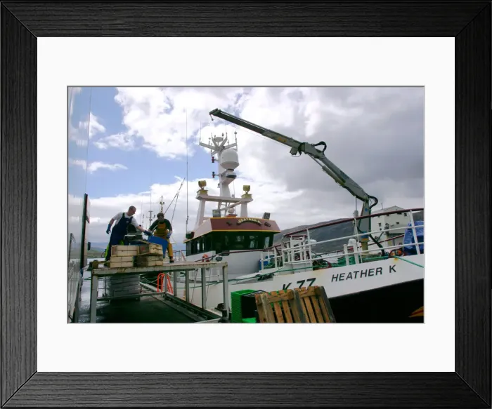 Framed Print : Unloading fish, Ullapool, Highland, Scotland Framed Print : Unloading fish, Ullapool, Highland, Scotland