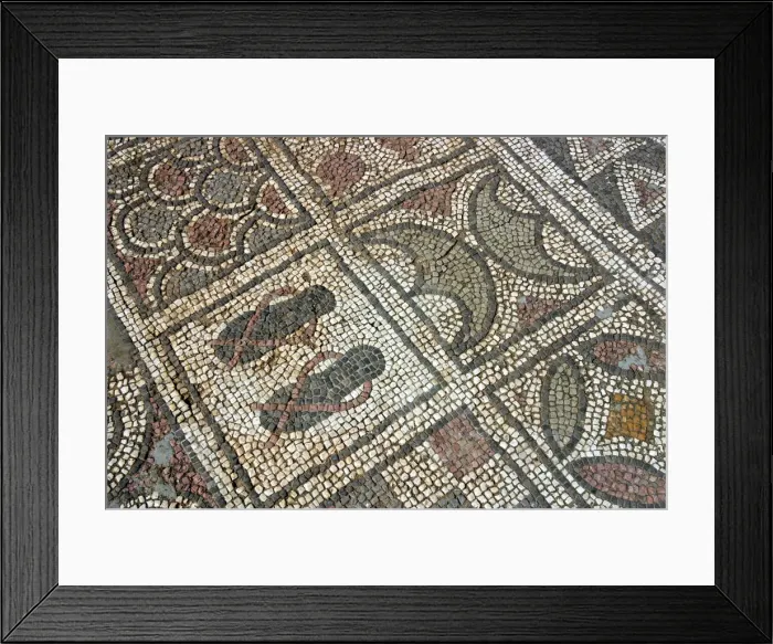 Framed Print : Mosaic floor, ruins of the Basilica of Ayia Trias, Famagusta, North Cyprus Framed Print : Mosaic floor, ruins of the Basilica of Ayia Trias, Famagusta, North Cyprus