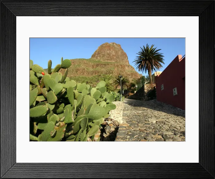 Framed Print : Cactus and street in Masca, Tenerife, Canary Islands, 2007 Framed Print : Cactus and street in Masca, Tenerife, Canary Islands, 2007