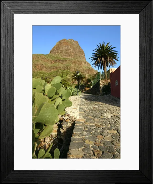 Framed Print : Cactus and street in Masca, Tenerife, Canary Islands, 2007