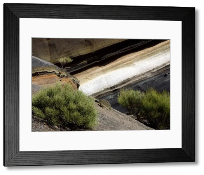 Framed Print : Vegetation and rock formations, Parque Nacional del Teide, Tenerife, Canary Islands, 2007 Framed Print : Vegetation and rock formations, Parque Nacional del Teide, Tenerife, Canary Islands, 2007