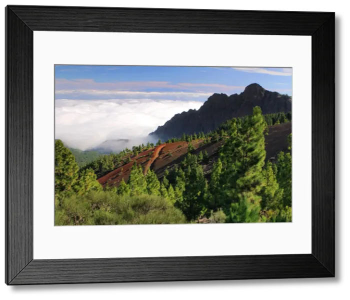 Framed Print : View from Mirador de la Cumbre, Parque Nacional del Teide, Tenerife, Canary Islands, 2007 Framed Print : View from Mirador de la Cumbre, Parque Nacional del Teide, Tenerife, Canary Islands, 2007