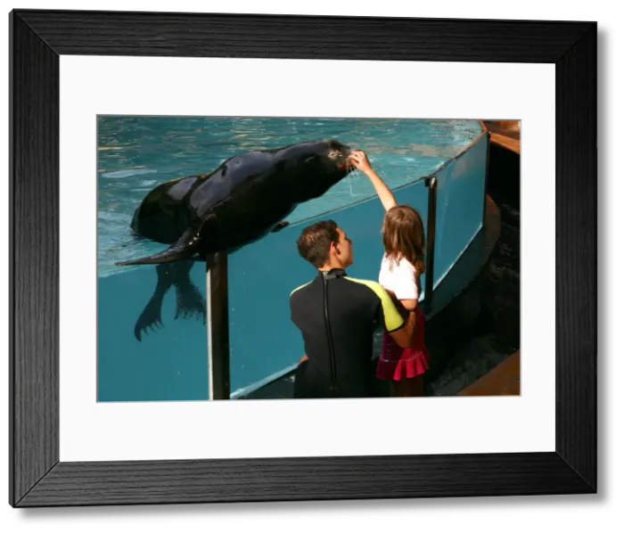 Framed Print : Girl petting a sea lion Loro Parque, Tenerife, Canary Islands, 2007 Framed Print : Girl petting a sea lion Loro Parque, Tenerife, Canary Islands, 2007