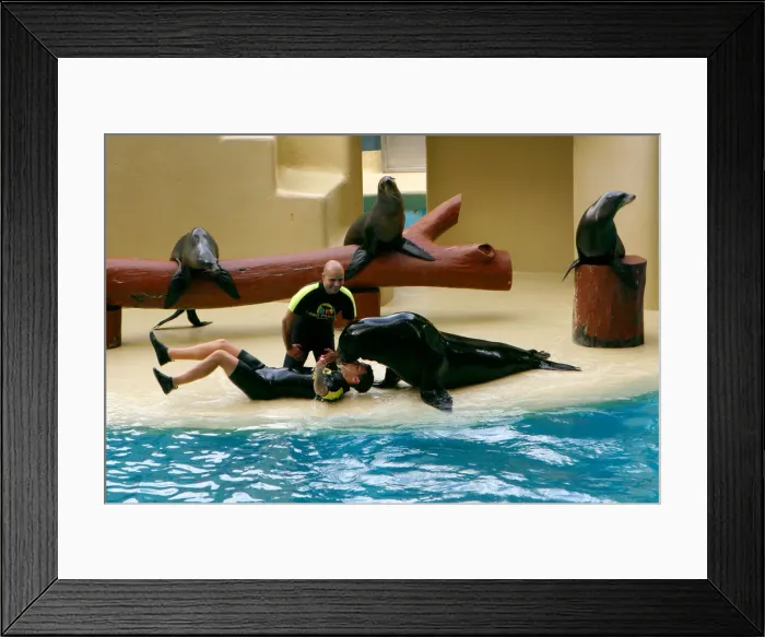 Framed Print : Sea lion show, Loro Parque, Tenerife, Canary Islands, 2007 Framed Print : Sea lion show, Loro Parque, Tenerife, Canary Islands, 2007