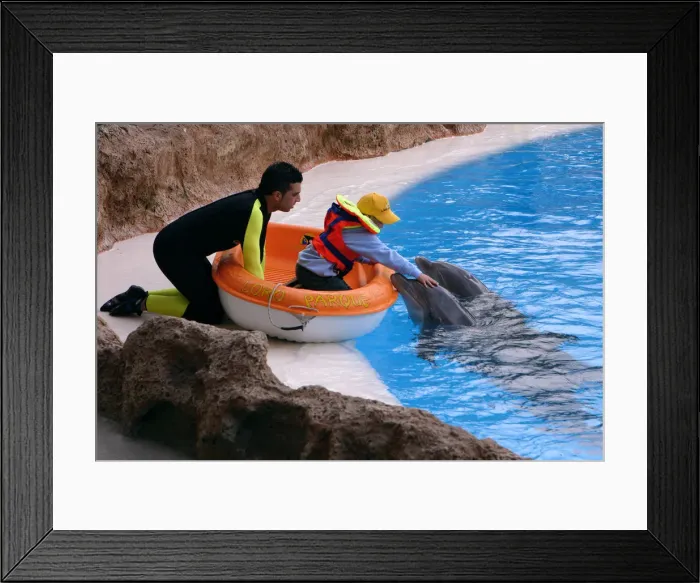 Framed Print : Child petting a dolphin, Loro Parque, Tenerife, Canary Islands, 2007 Framed Print : Child petting a dolphin, Loro Parque, Tenerife, Canary Islands, 2007