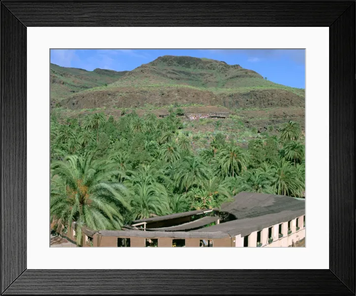 Framed Print : Parque Palmitos park, Gran Canaria, Canary Islands Framed Print : Parque Palmitos park, Gran Canaria, Canary Islands