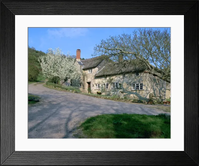 Framed Print : Great Seaside house, Branscombe, Devon Framed Print : Great Seaside house, Branscombe, Devon
