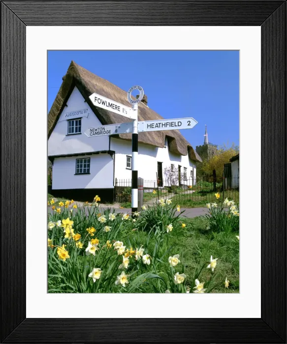 Framed Print : Daffodils, road sign and cottage, Thriplow, Cambridgeshire Framed Print : Daffodils, road sign and cottage, Thriplow, Cambridgeshire