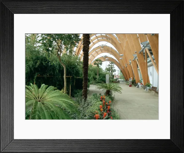 Framed Print : Winter Gardens, Sheffield, South Yorkshire Framed Print : Winter Gardens, Sheffield, South Yorkshire