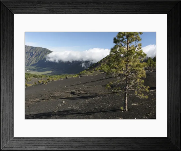 Framed Print : Llano del Jable, La Palma, Canary Islands, Spain, 2009 Framed Print : Llano del Jable, La Palma, Canary Islands, Spain, 2009