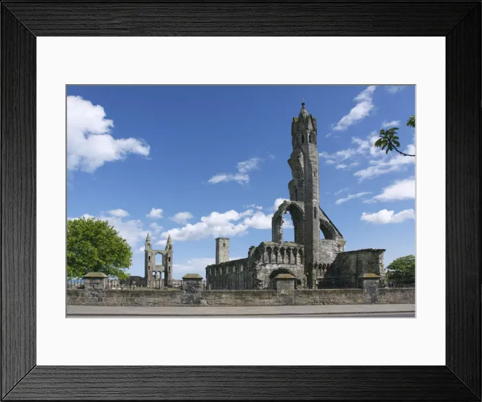 Framed Print : St Andrews Cathedral and St Rules Tower, Fife, Scotland, 2009 Framed Print : St Andrews Cathedral and St Rules Tower, Fife, Scotland, 2009