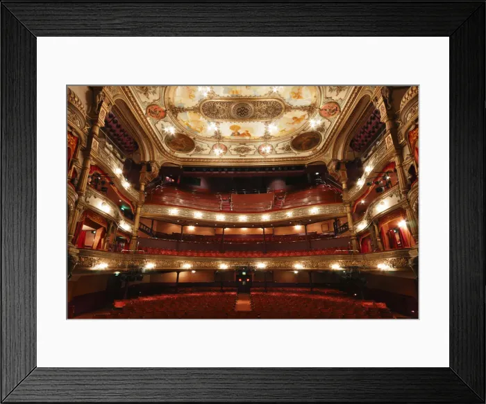 Framed Print : Interior of the Grand Opera House, Belfast, Northern Ireland, 2010 Framed Print : Interior of the Grand Opera House, Belfast, Northern Ireland, 2010